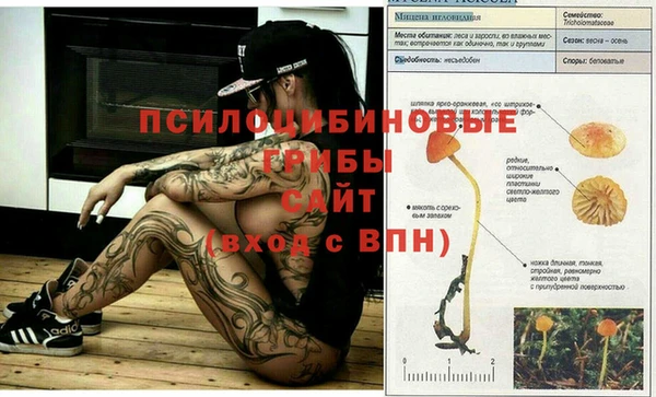 первитин Абаза