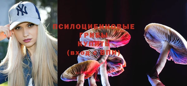 скорость Костерёво