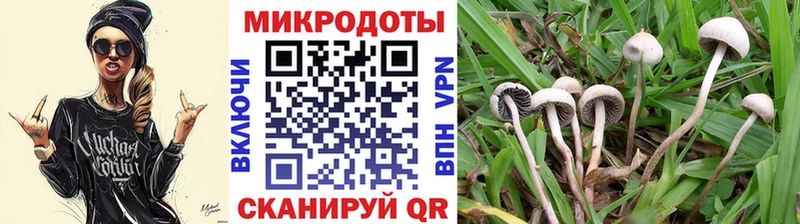 Галлюциногенные грибы GOLDEN TEACHER  дарк нет наркотические препараты  Нефтеюганск  купить наркотики сайты 